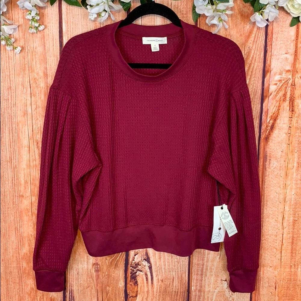 Treasure &Bond Plum Puff Shoulder Knit Sweater1559